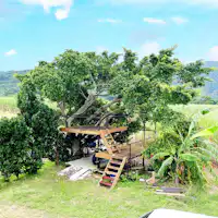 ระเบียงไม้ล้อมรอบด้วยต้นไม้