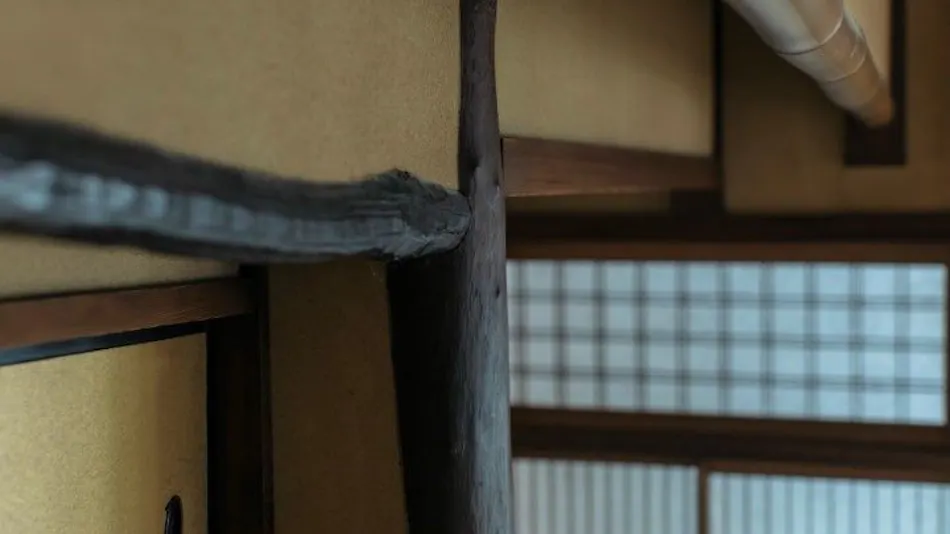 Toshiharu Ryokan