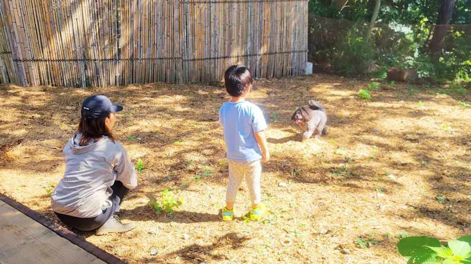 Couscous Glamping Manazuru