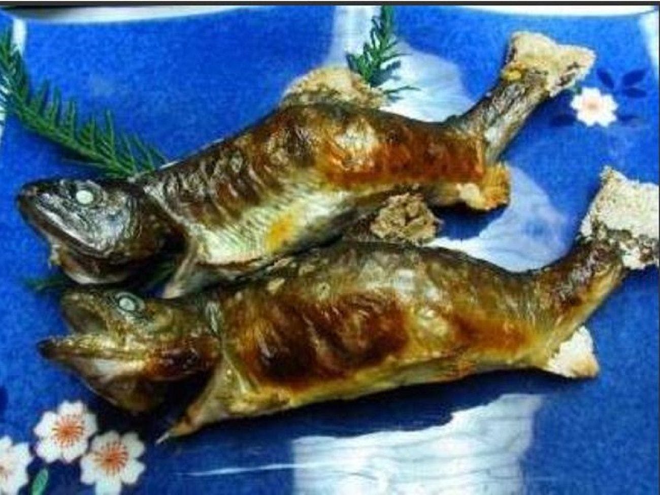 Yatsugawakan