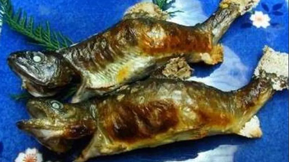 Yatsugawakan