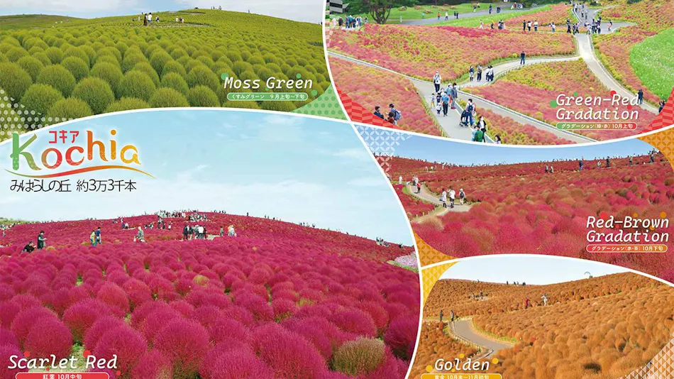 Shiosai no Accommodation Marutoku