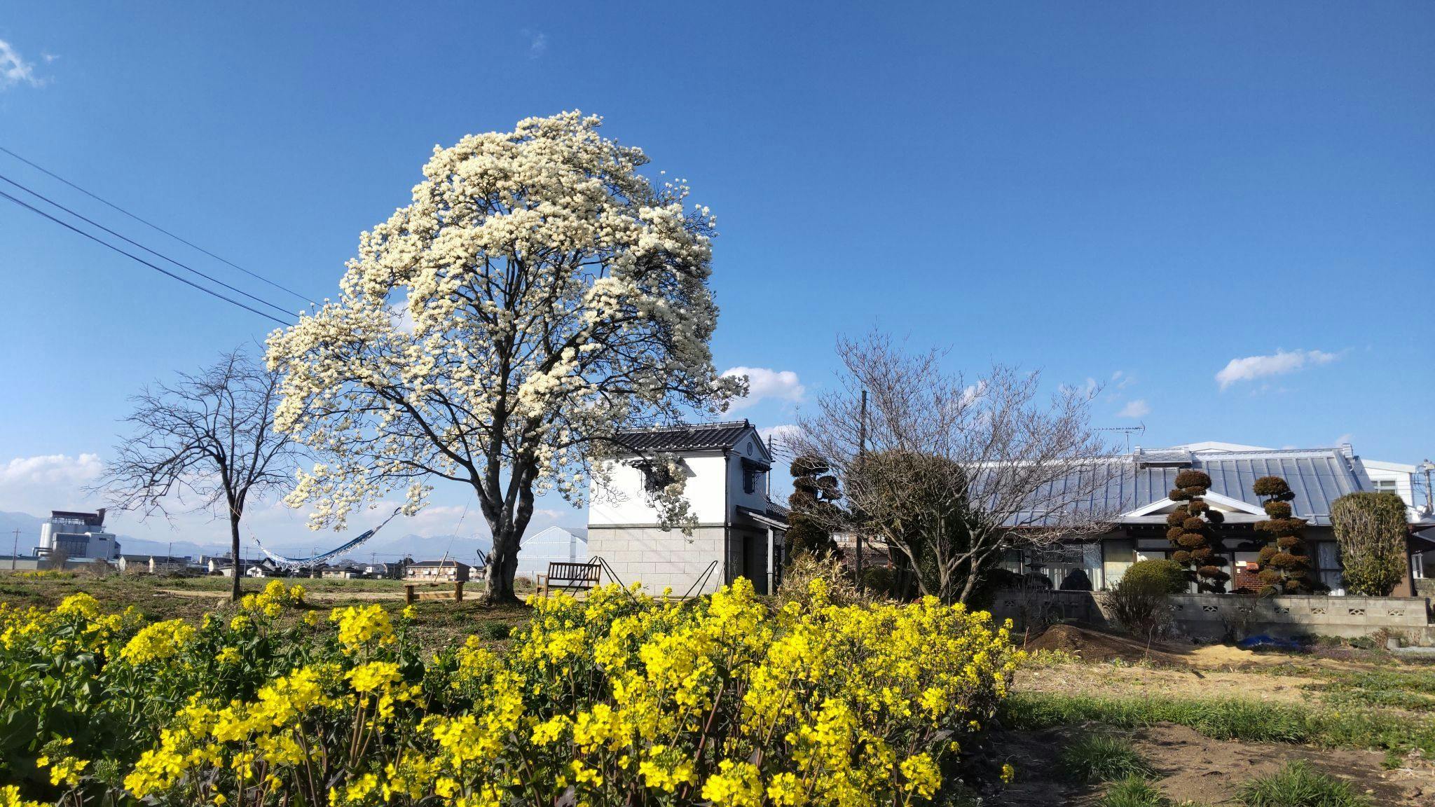 Hotel MOKUREN (Agricultural Experience Accommodation)