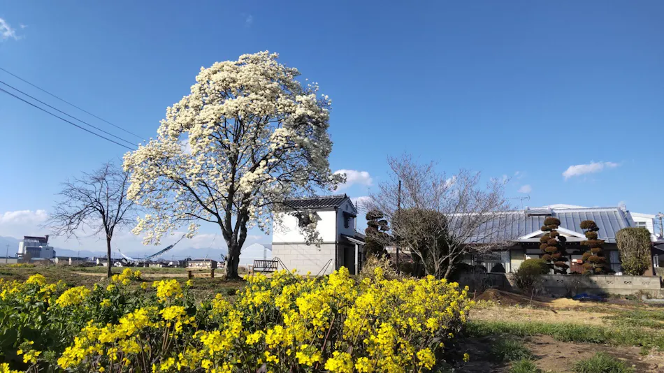 Hotel MOKUREN (Agricultural Experience Accommodation)