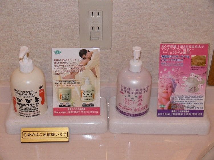 KKR Hotel Biwako (Biwako Recreation Center, Federation of National Public Service Personnel Mutual Aid Associations)