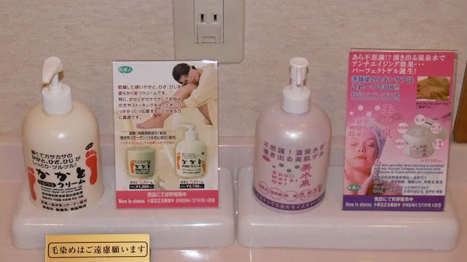 KKR Hotel Biwako (Biwako Recreation Center, Federation of National Public Service Personnel Mutual Aid Associations)