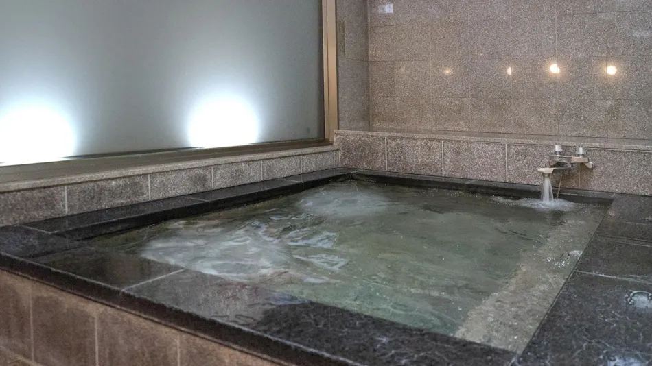 Hotel New Gaia Iizuka
