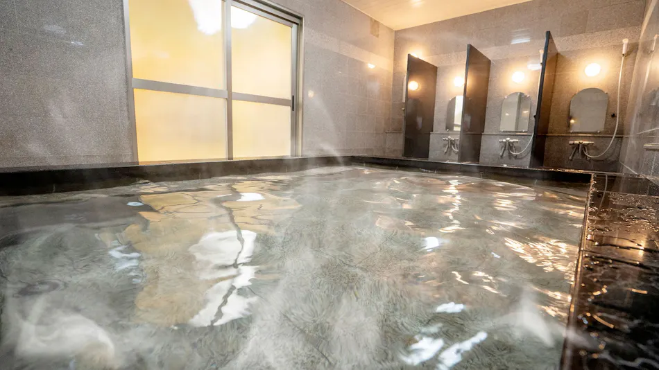 Hotel New Gaia Iizuka