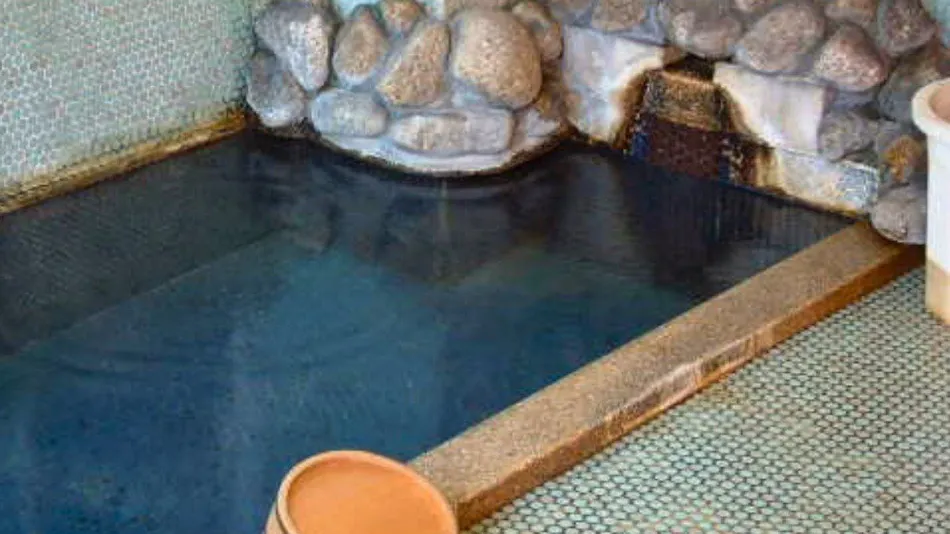 Mikadoya Ryokan