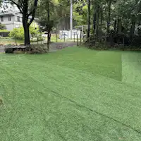 สนามวิ่งสุนัขกว้างขวาง