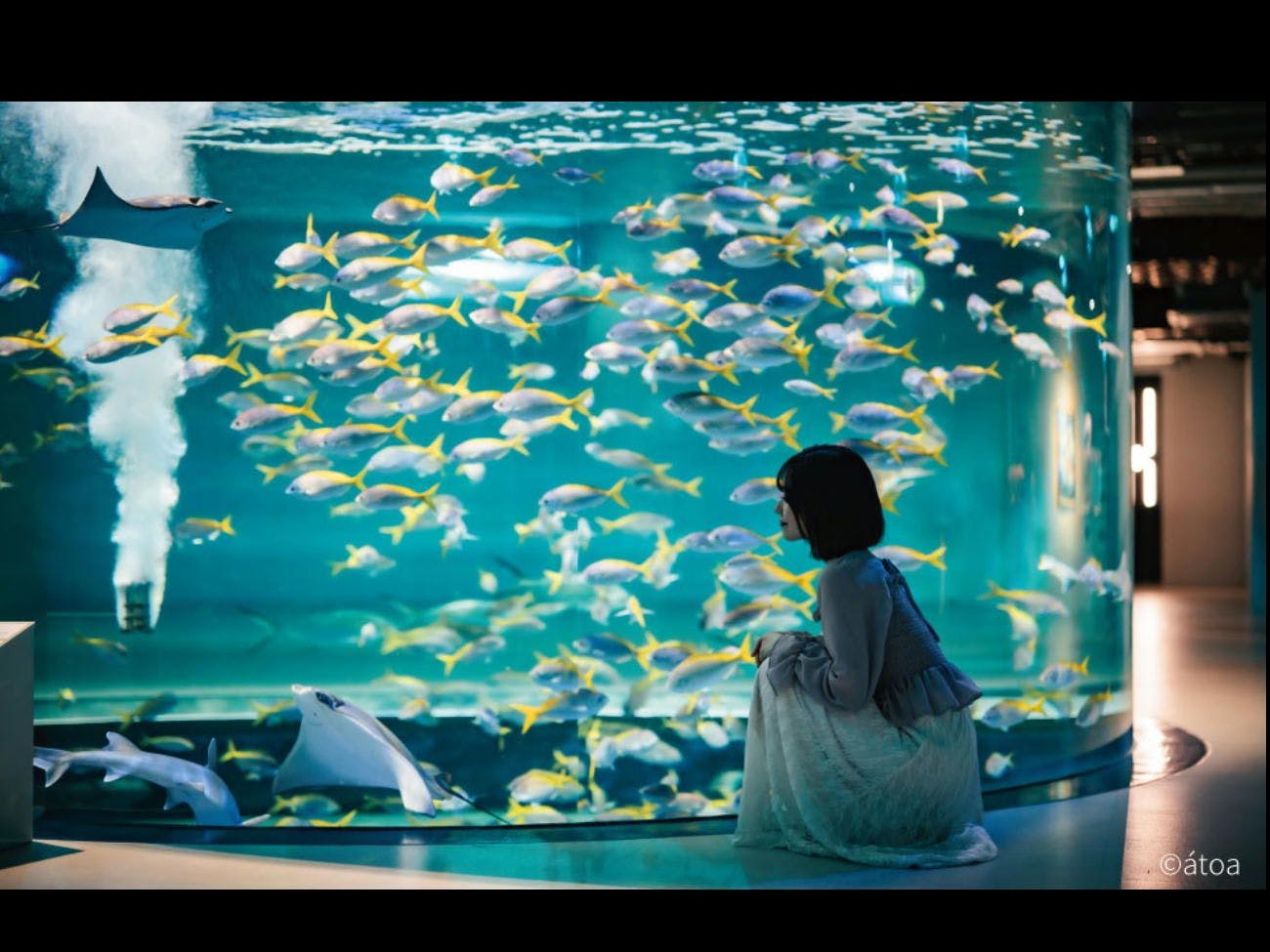 【都市型水族館「atoa」入場券付】幻想的な空間でアクアリウムやアートを体験（朝食付）