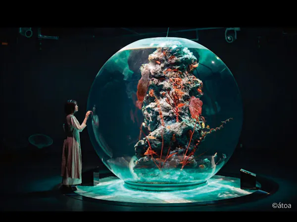 【都市型水族館「atoa」入場券付】幻想的な空間でアクアリウムやアートを体験(朝食付)