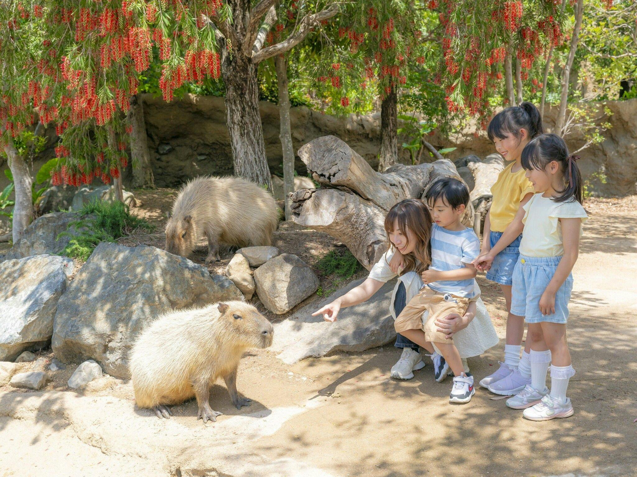 かわいい動物や美しい花と触れ合える「神戸どうぶつ王国」入園券付＆ホテル駐車場無料（朝食付）