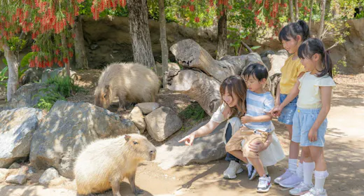 かわいい動物や美しい花と触れ合える「神戸どうぶつ王国」入園券付&ホテル駐車場無料(朝食付)