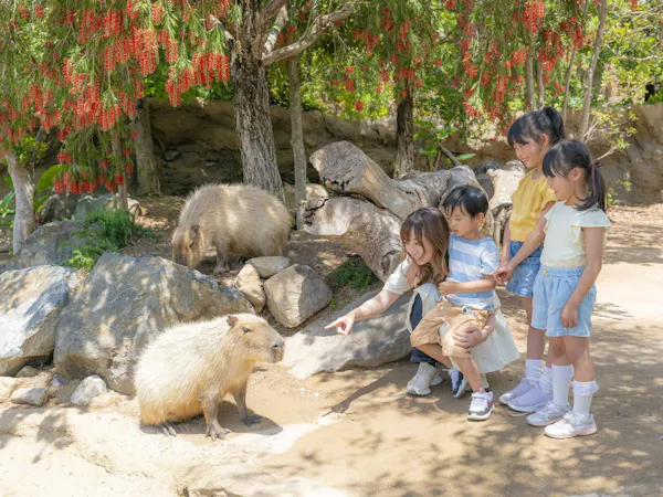 かわいい動物や美しい花と触れ合える「神戸どうぶつ王国」入園券付&ホテル駐車場無料(朝食付)