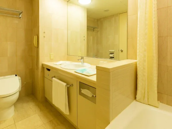 バスルーム(デラックスルーム)