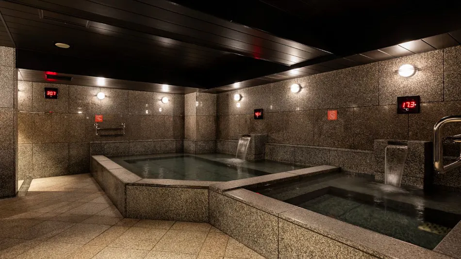 Hotel Nikko Fukuoka