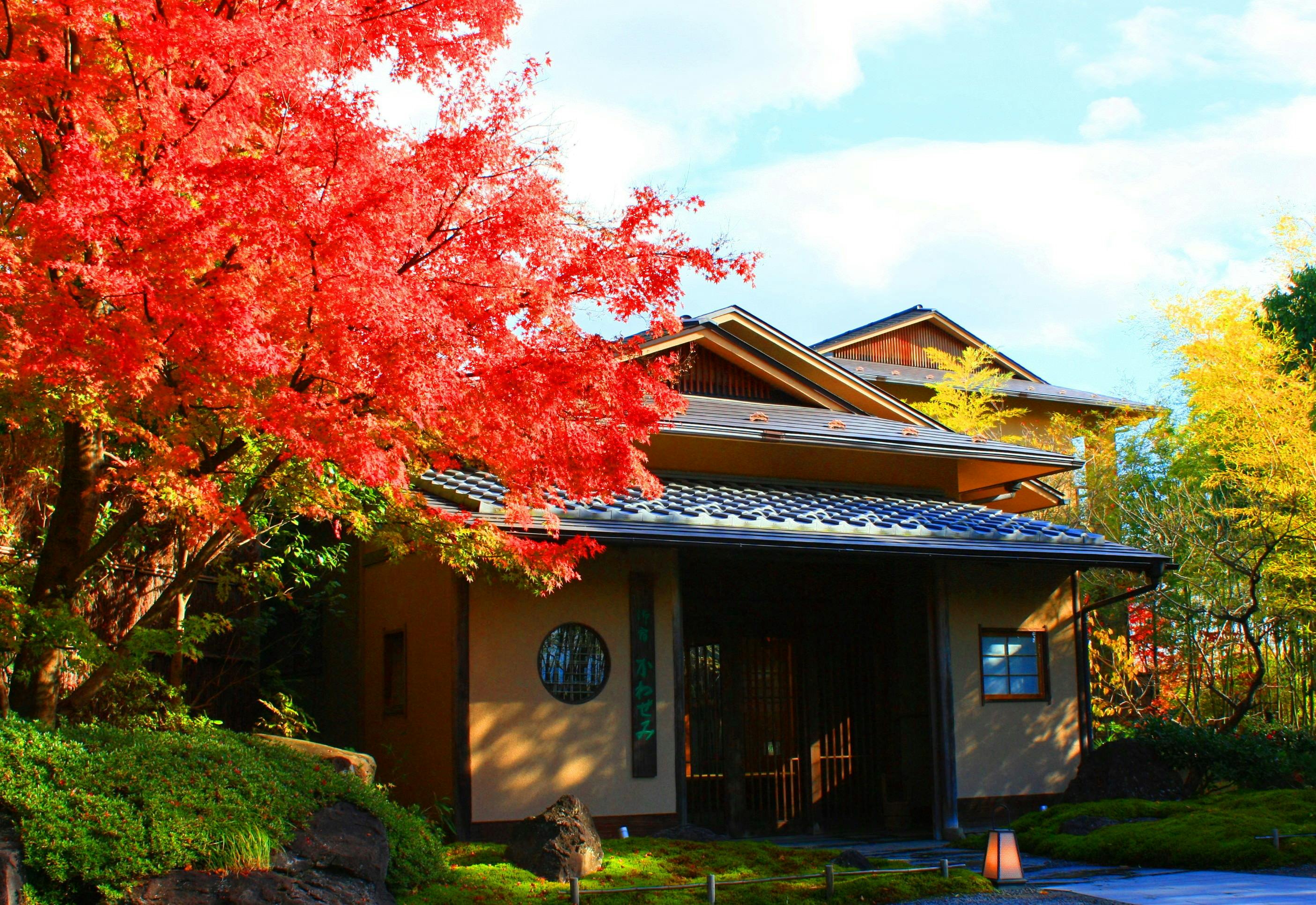 御宿かわせみ クチコミ・評判 - 御宿 かわせみ - 宿泊予約は[一休.com]
