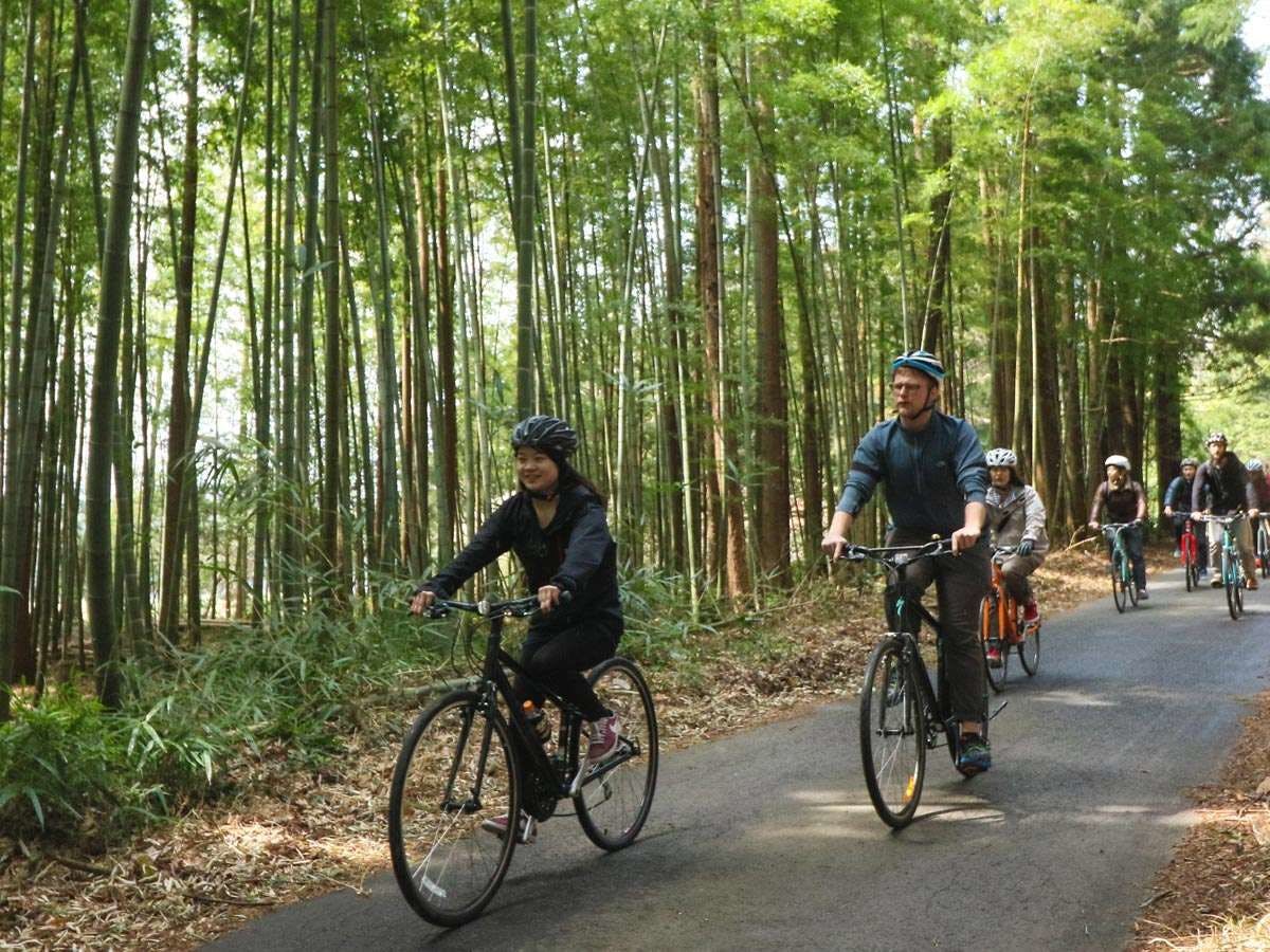 SPECIALIZED（スペシャライズド）