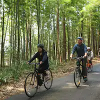 SPECIALIZED(スペシャライズド)