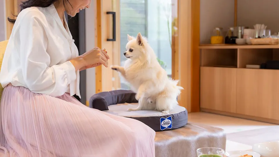 Yumoto Konpira Onsen Hananoyu Koubaitei