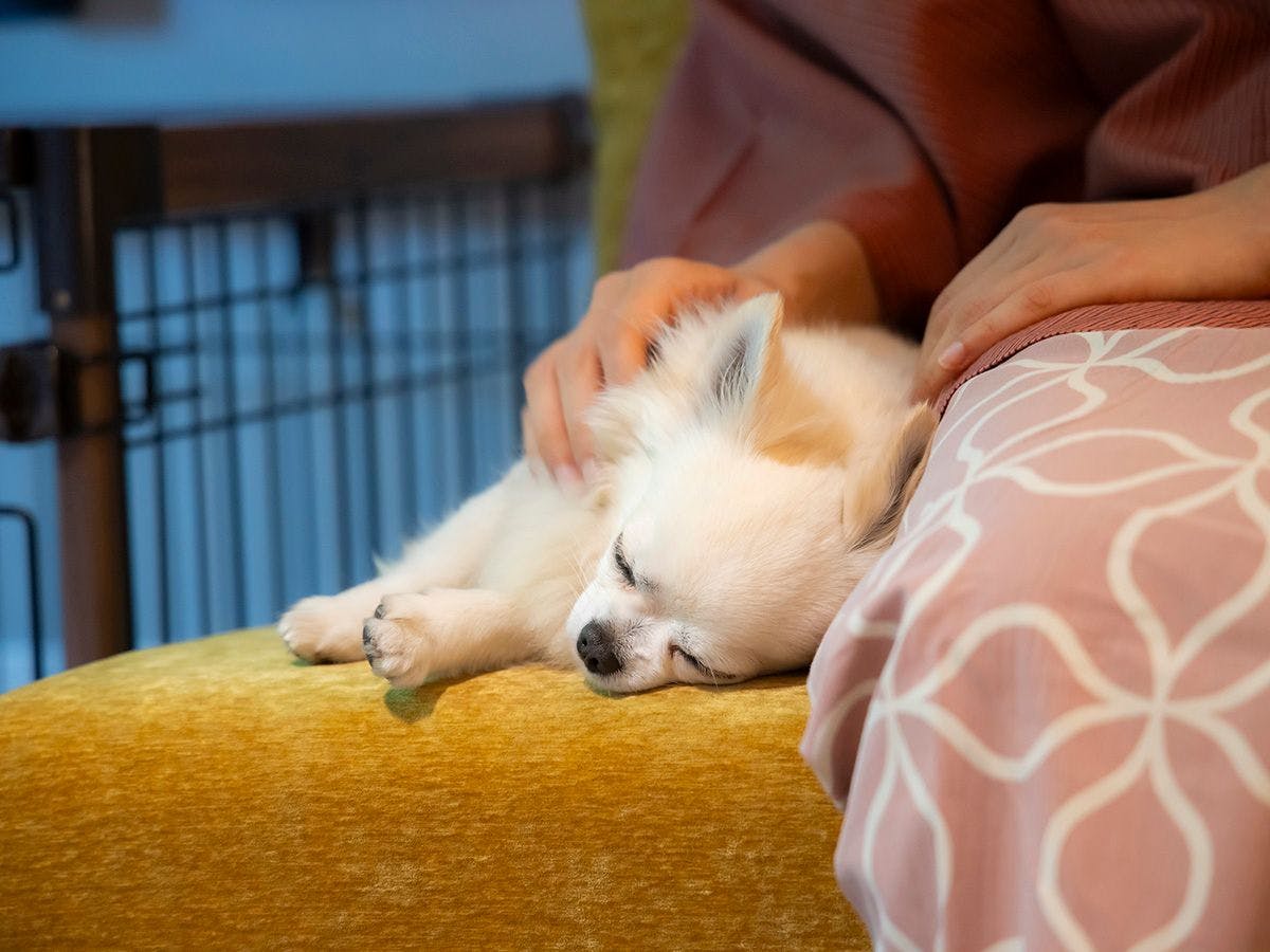 湯元こんぴら温泉華の湯　紅梅亭