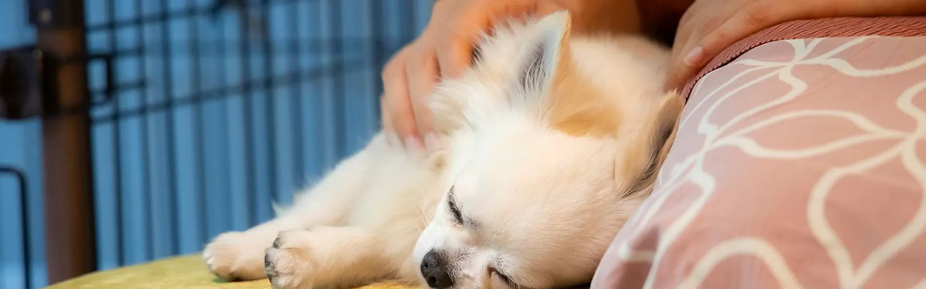 湯元こんぴら温泉華の湯 紅梅亭