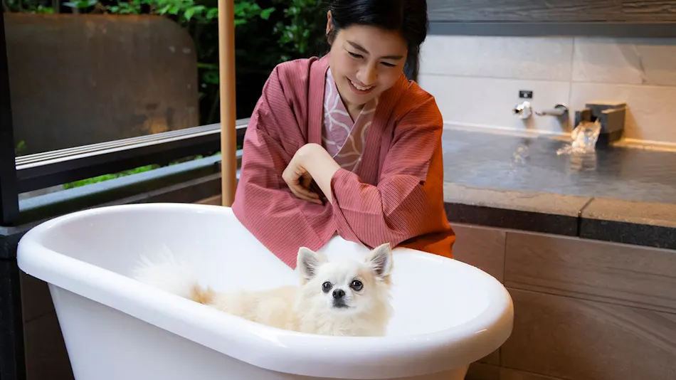 Yumoto Konpira Onsen Hananoyu Koubaitei