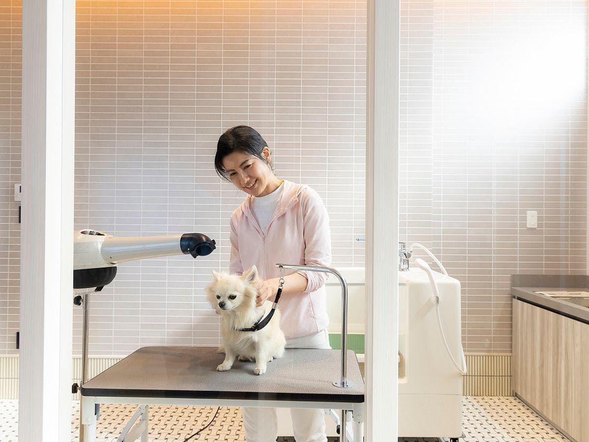 湯元こんぴら温泉華の湯　紅梅亭