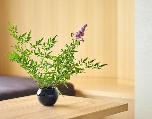 茶室同様に、季節の草花を。（イメージ）