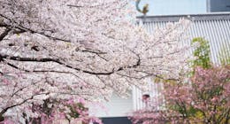 ホテル雅叙園東京