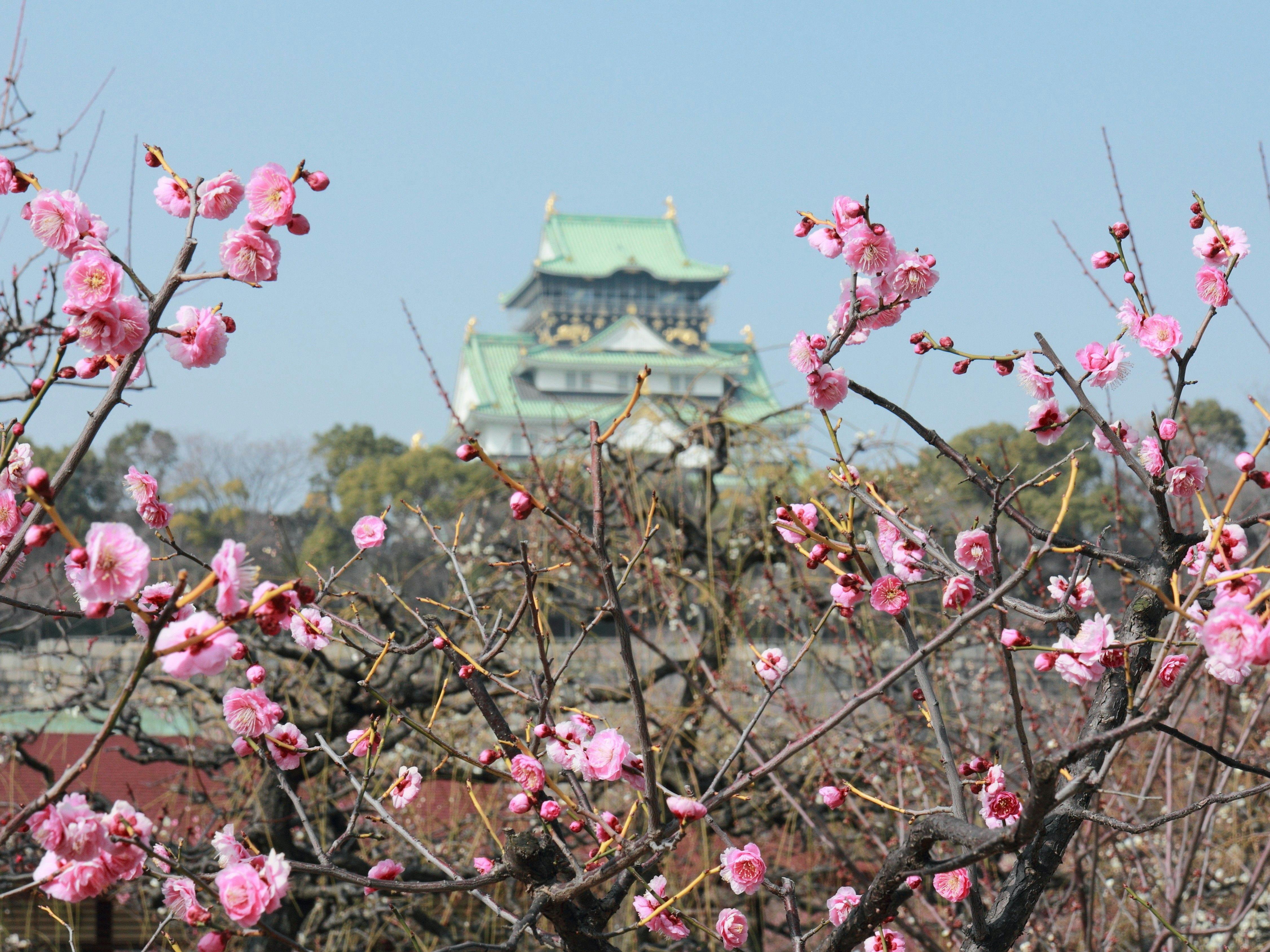ホテルニューオータニ大阪