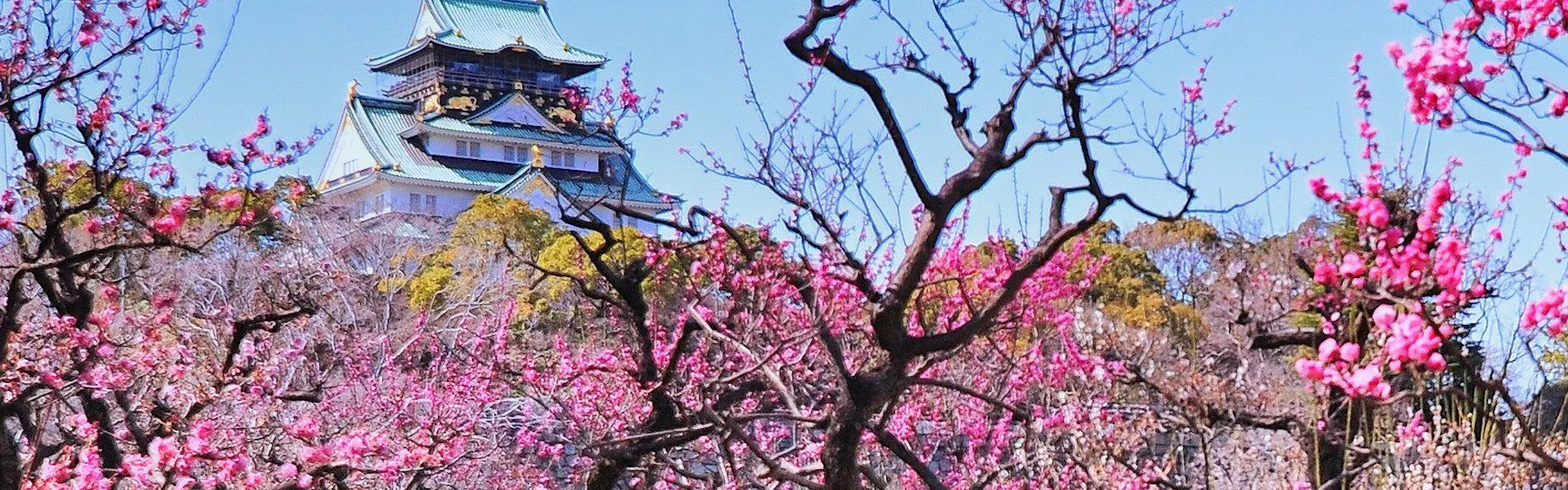 ホテルニューオータニ大阪