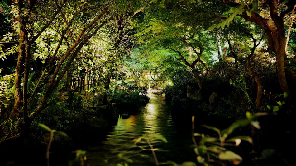 Dogo Onsen Funaya
