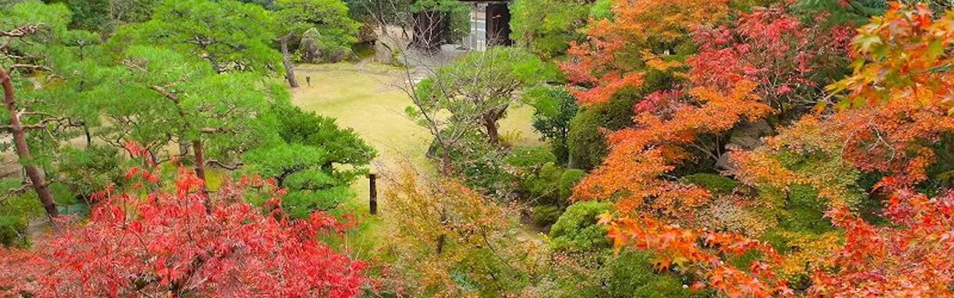 道後温泉 ふなや