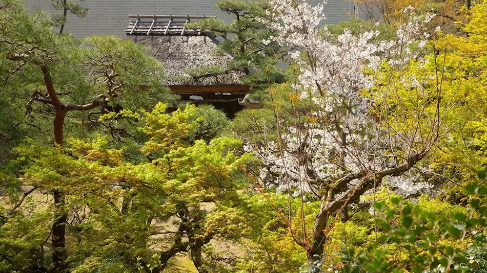 Dogo Onsen Funaya