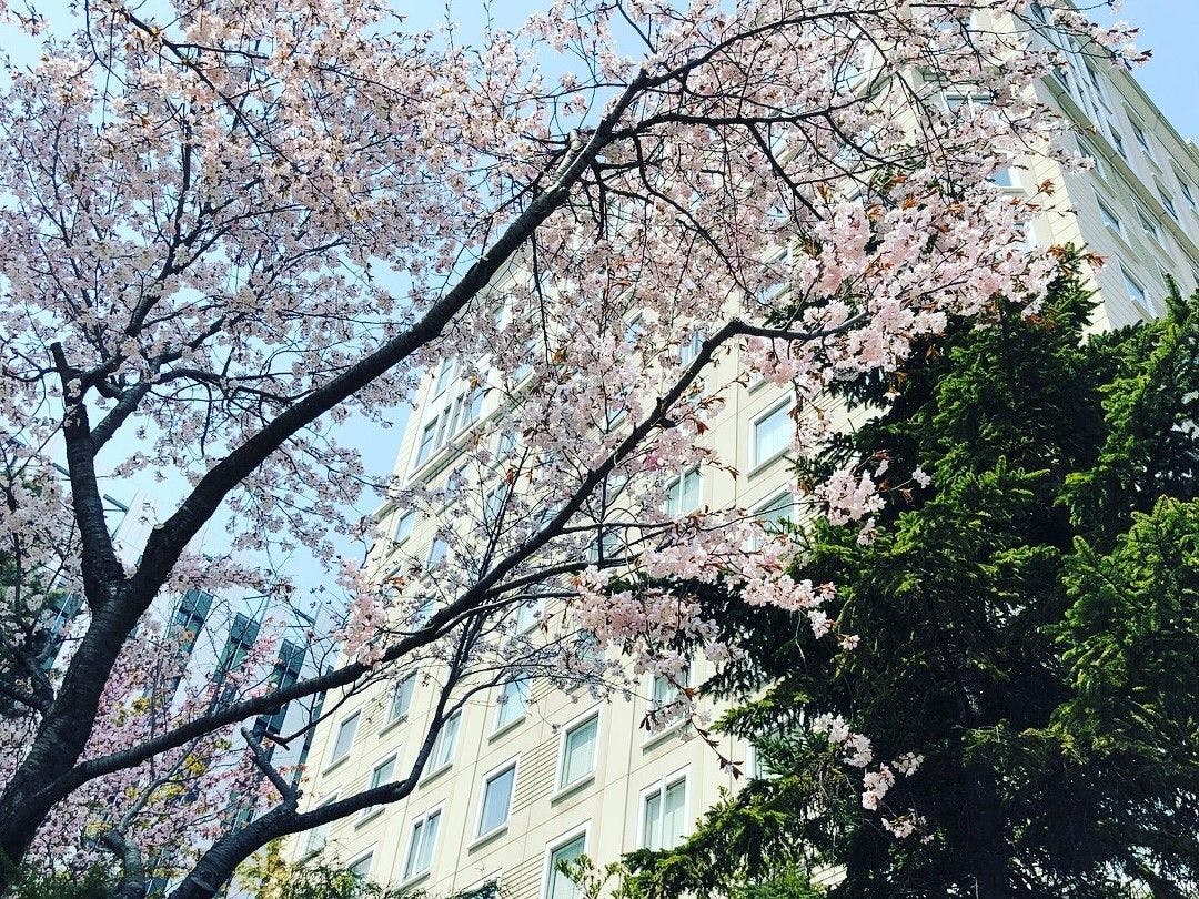 ホテルモントレエーデルホフ札幌
