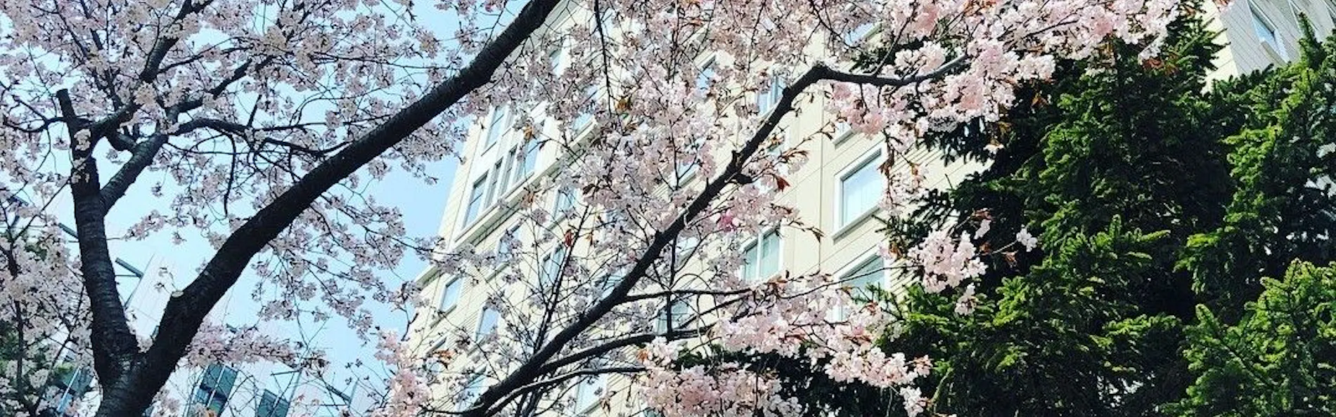 ホテルモントレエーデルホフ札幌