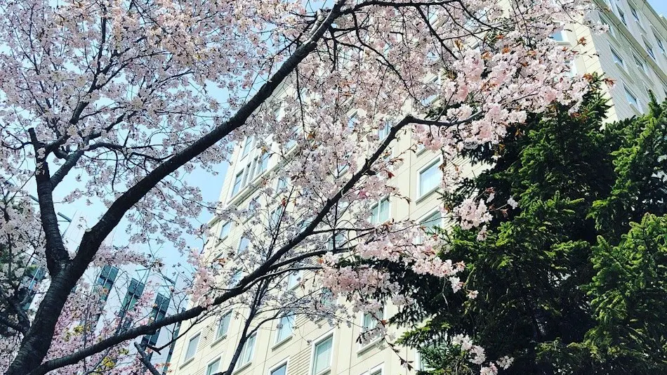 Hotel Monterey Edelhof Sapporo