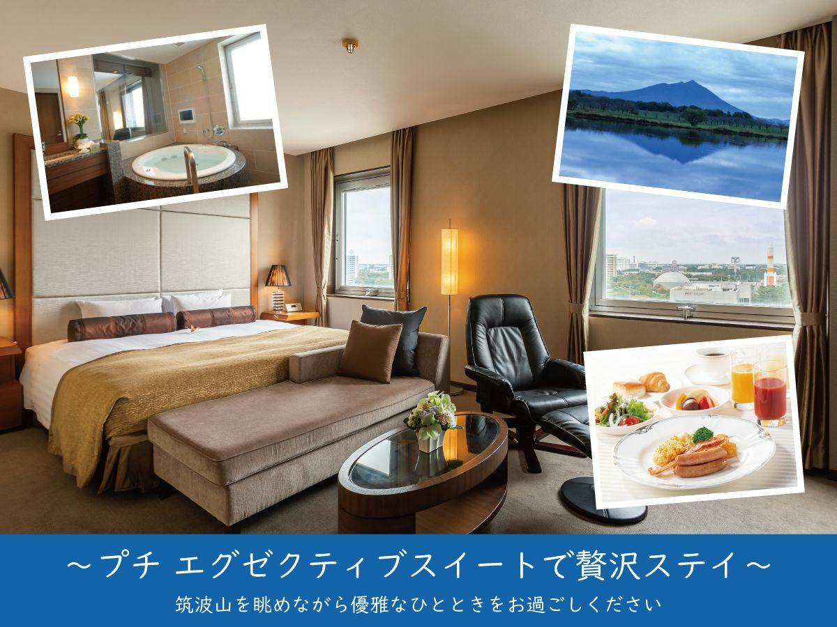 プチ エグゼクティブスイートで贅沢ステイ　（朝食付き）