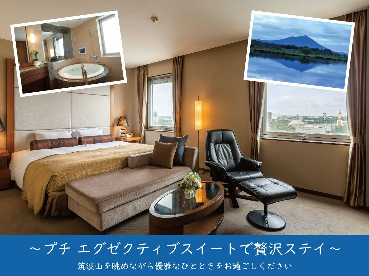 プチ エグゼクティブスイートで贅沢ステイ　（素泊まり）