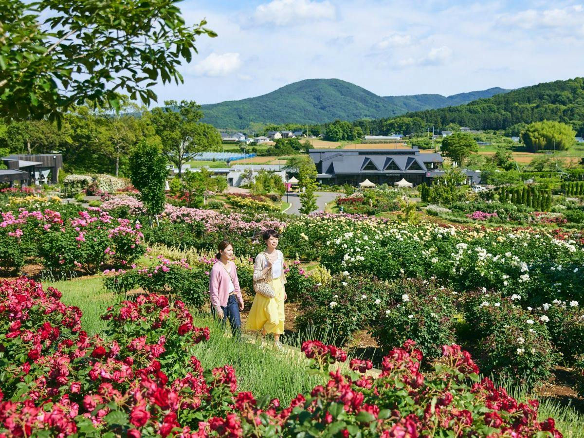 【สัมผัสบรรยากาศตามฤดูกาล】แผนที่พักพร้อมบัตรเข้าชมสวนดอกไม้ Ibaraki Flower Park／ไม่รวมอาหาร