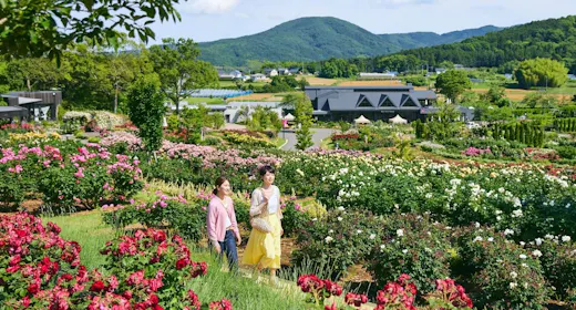 【สัมผัสบรรยากาศตามฤดูกาล】แผนที่พักพร้อมบัตรเข้าชมสวนดอกไม้ Ibaraki Flower Park/ไม่รวมอาหาร