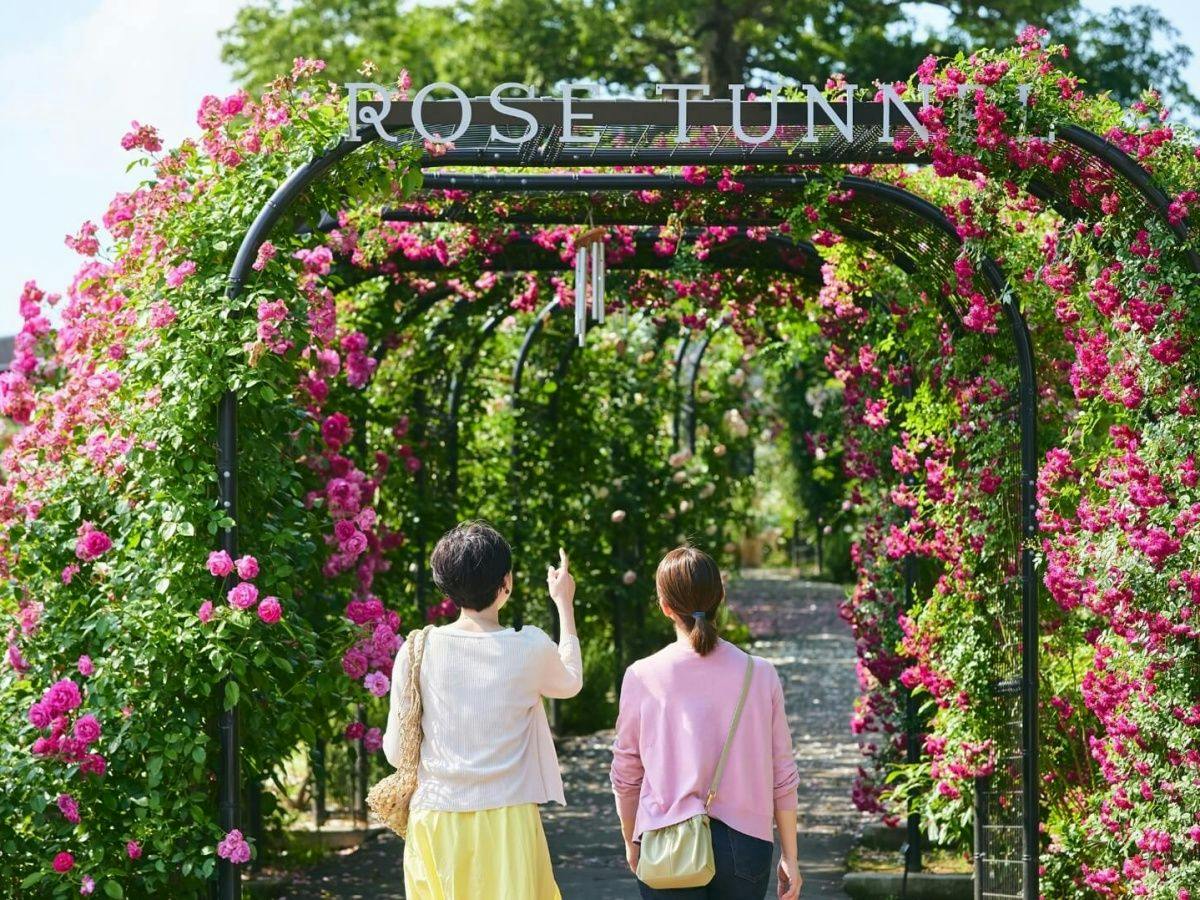 【สัมผัสบรรยากาศตามฤดูกาล】แผนที่พักพร้อมบัตรเข้าชมสวนดอกไม้ Ibaraki Flower Park／รวมอาหารเช้า