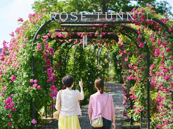 【季節を感じる】いばらきフラワーパークの入園チケット付き宿泊プラン/朝食付