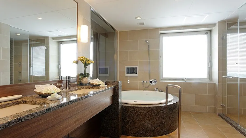 Hotel Nikko Tsukuba