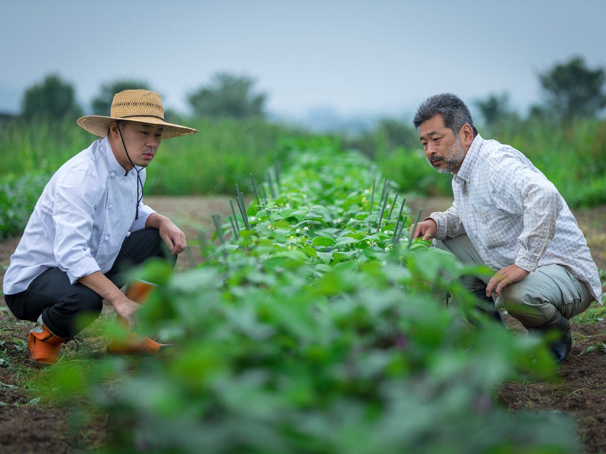 ◆有機無農薬野菜◆