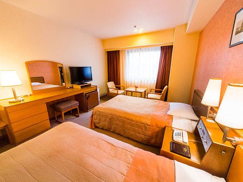 25.2平米のお部屋に110センチのベッドが2台