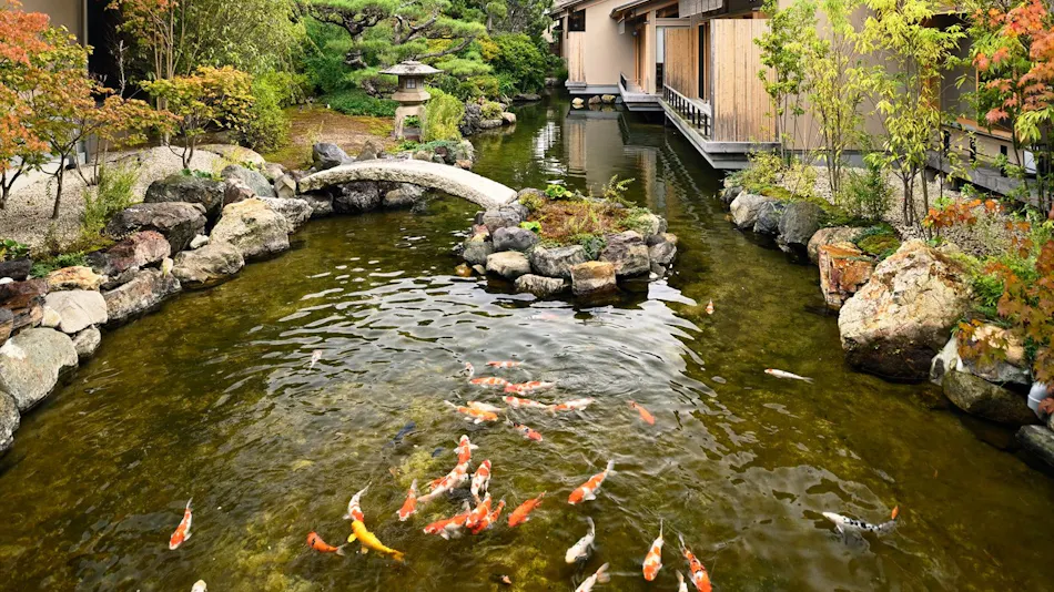 Awara Onsen Kofuyuden Beniya