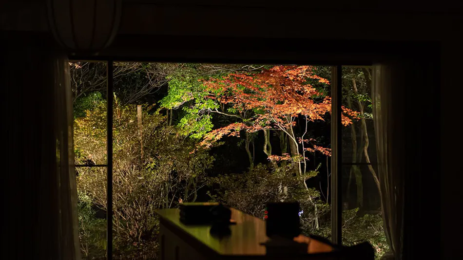 UNZEN HANZUIRYO
